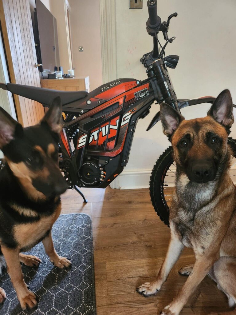 Image #1 from Andrew